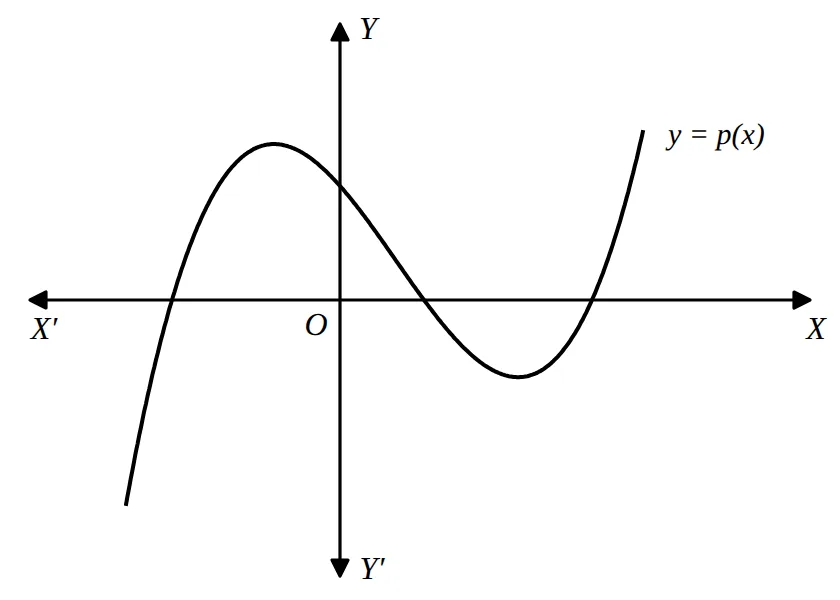 Graph of y = p(x) with axes X′X and Y′Y