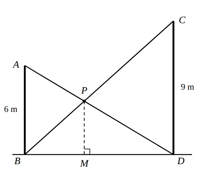 Poles AB, CD on level ground; wires AD, CB cross at P; PM perpendicular