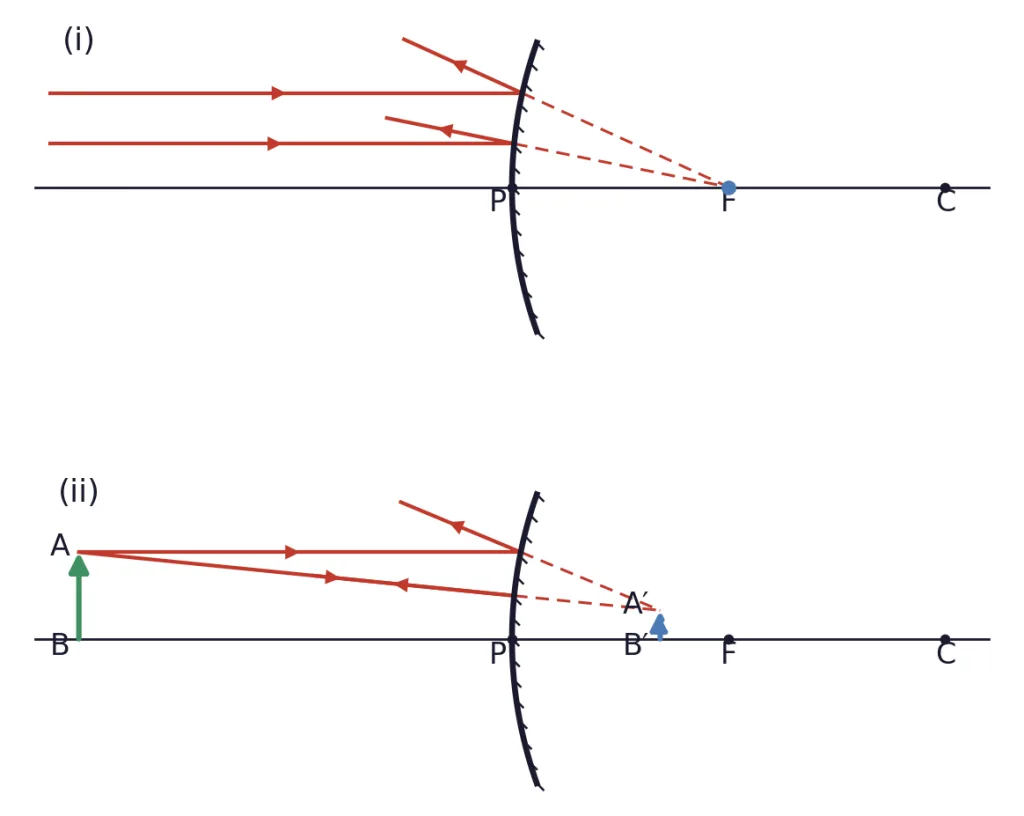Convex mirror ray diagrams for a distant object and object AB