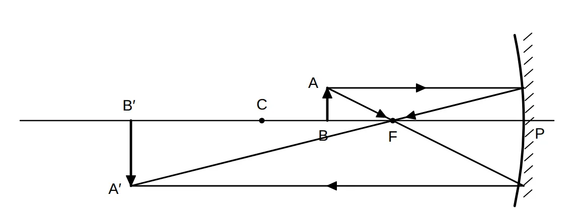 Ray diagram for an object between C and F of a concave mirror