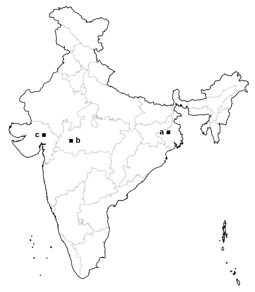 Answer map of India with places a, b and c marked by squares