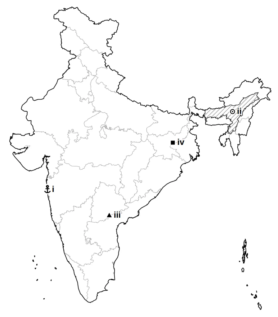 Answer map with the four places marked i to iv