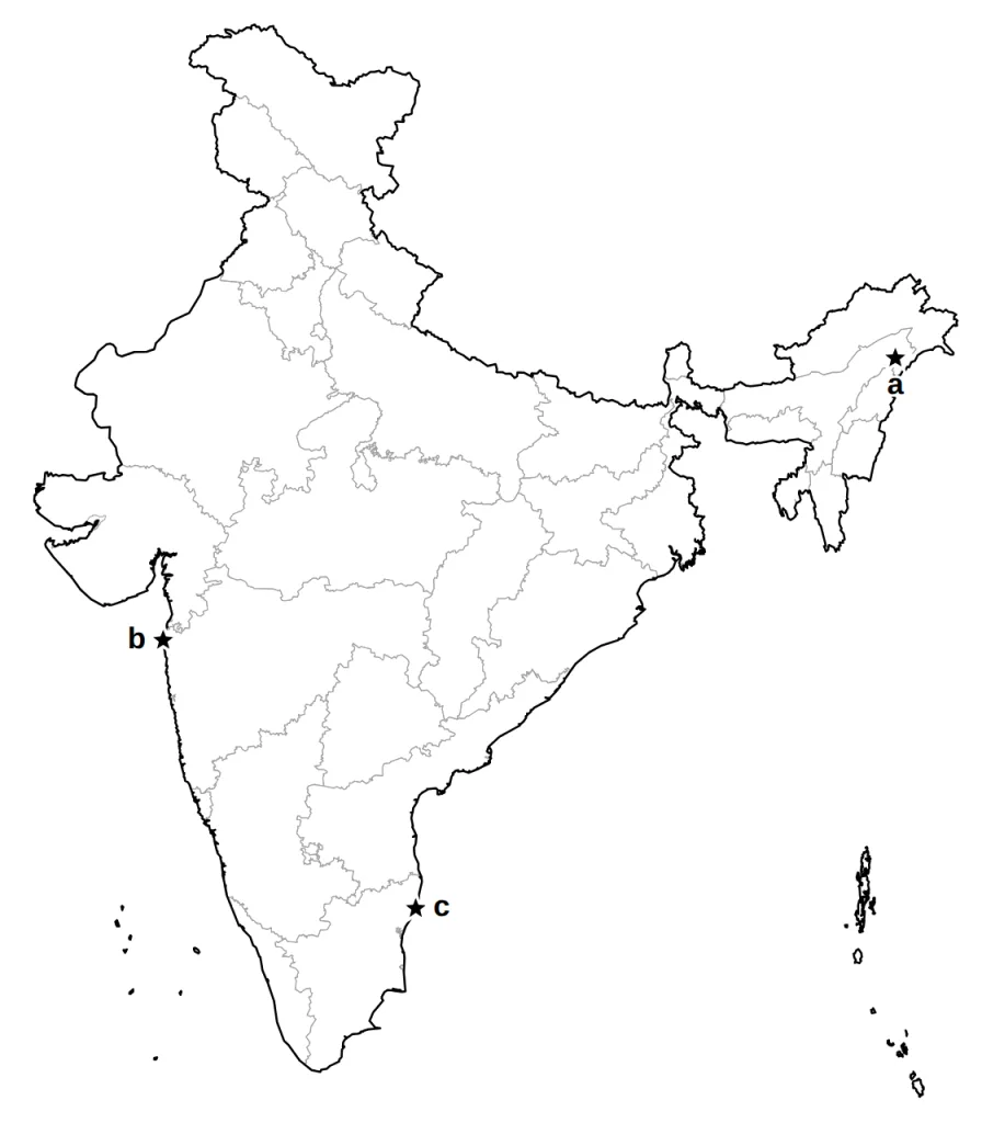 Answer map of India with places a, b and c marked by stars