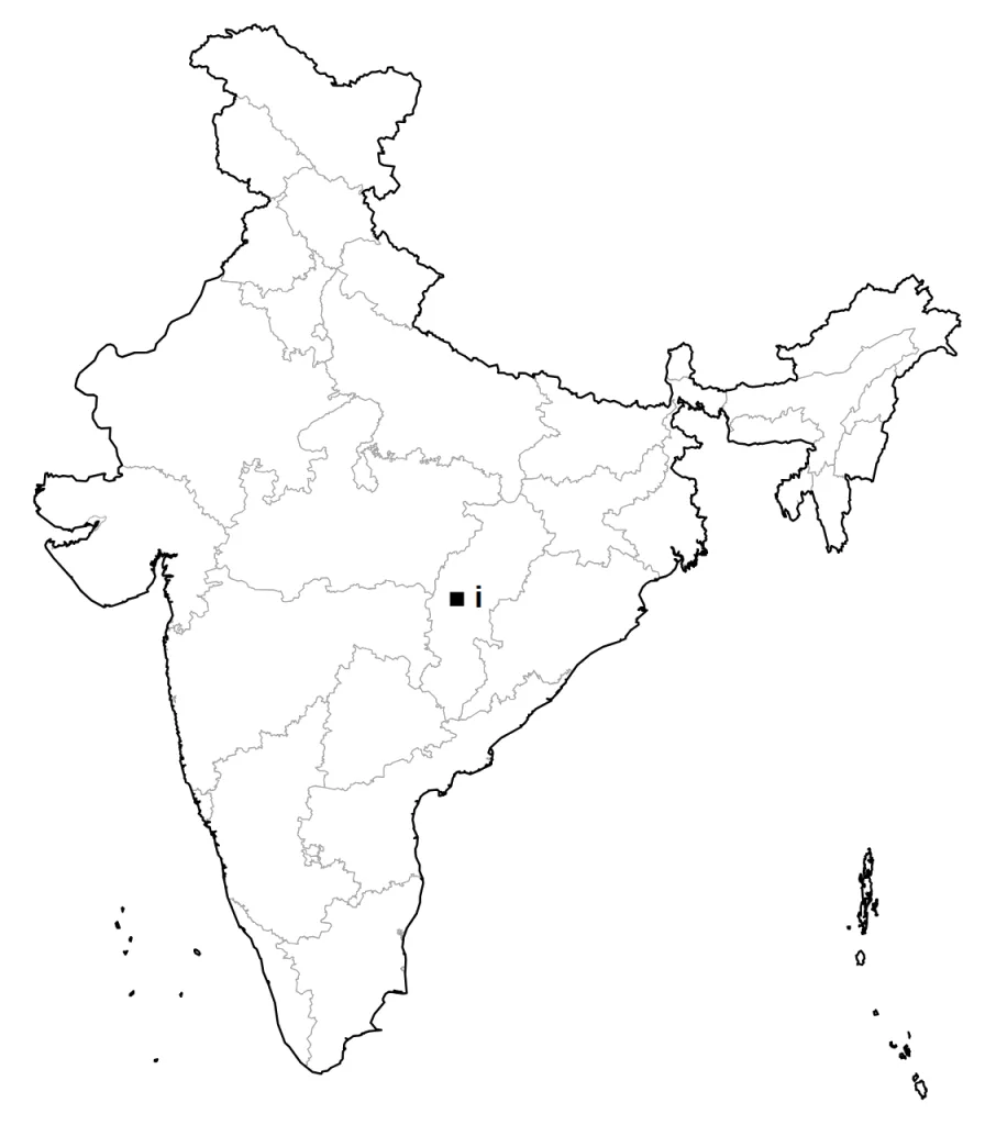 Answer map: position of item (i)