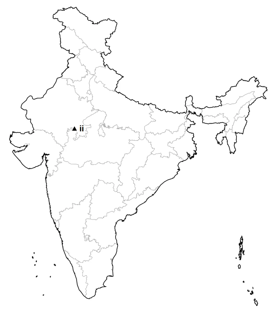 Answer map: position of item (ii)