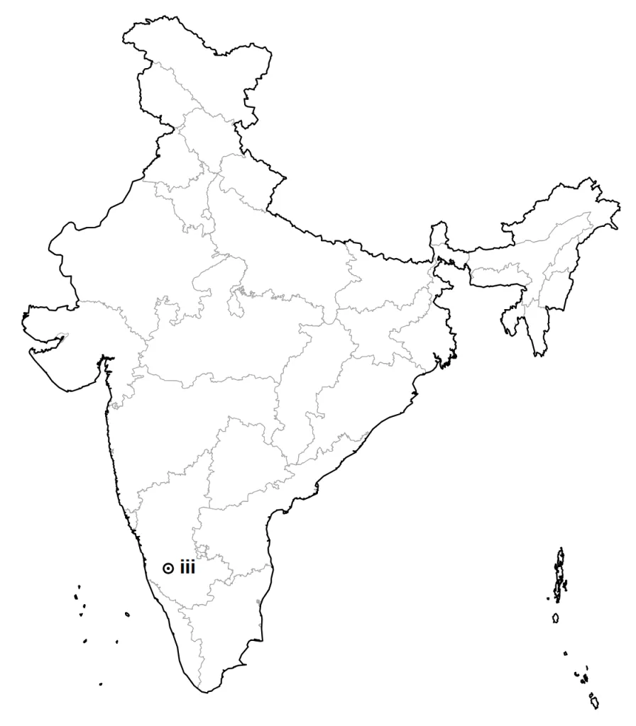 Answer map: position of item (iii)