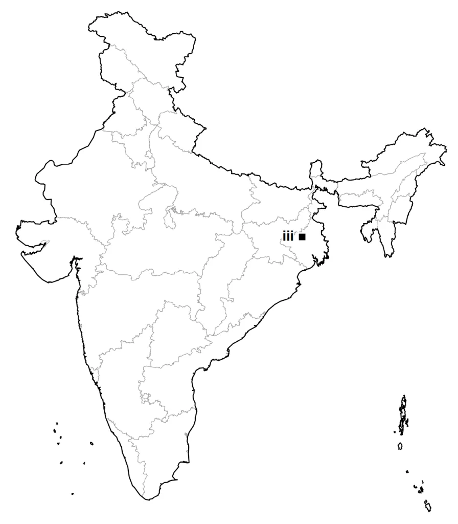 Answer map: position of item (iii)