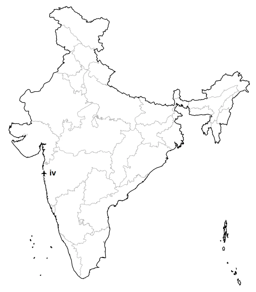Answer map: position of item (iv)