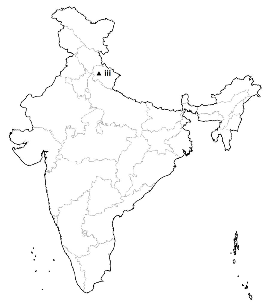 Answer map: position of item (iii)