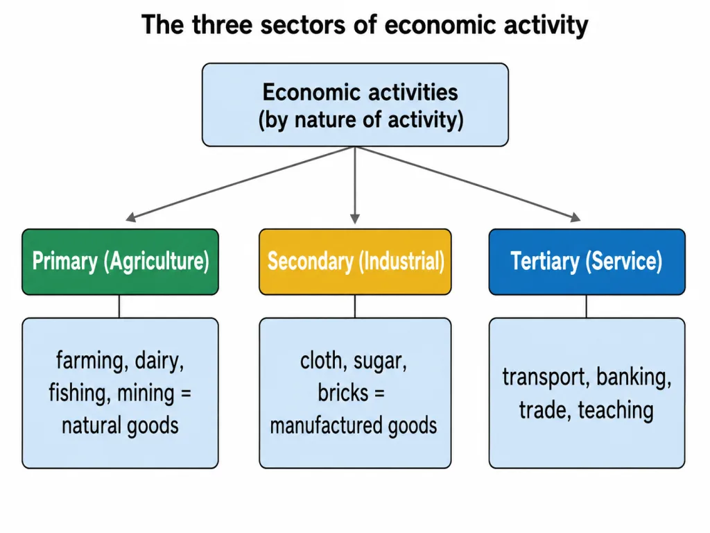 The three sectors of economic activity