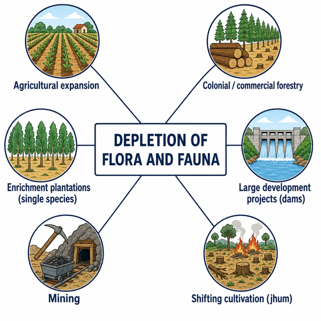 Main causes of forest and wildlife depletion