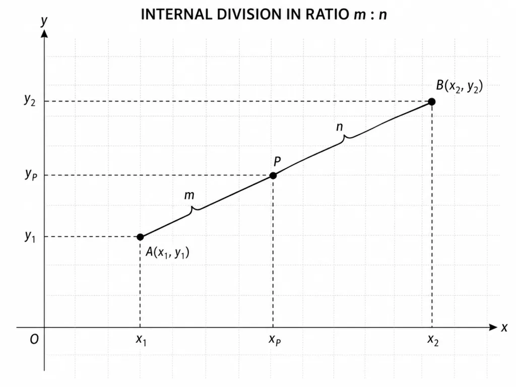 A line segment from point A(x1,y1) to point B(x2,y2) on a coordinate plane, with a point P between them dividing the segment internally. The portion AP is labelled m and the portion PB is labelled n, illustrating the ratio m:n used in the section formula.