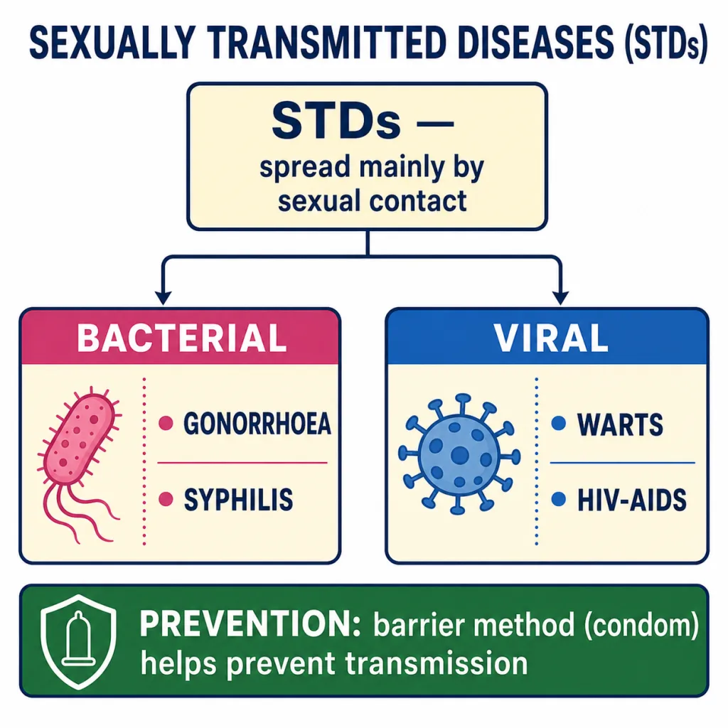 Sexually transmitted diseases classified as bacterial and viral