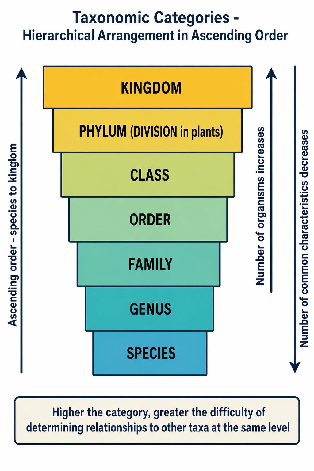 Taxonomic categories in ascending order from species to kingdom