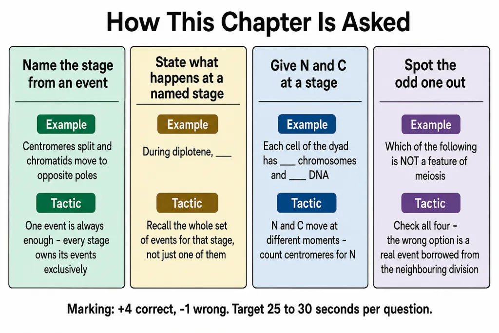Four question shapes used for the cell division chapter in NEET