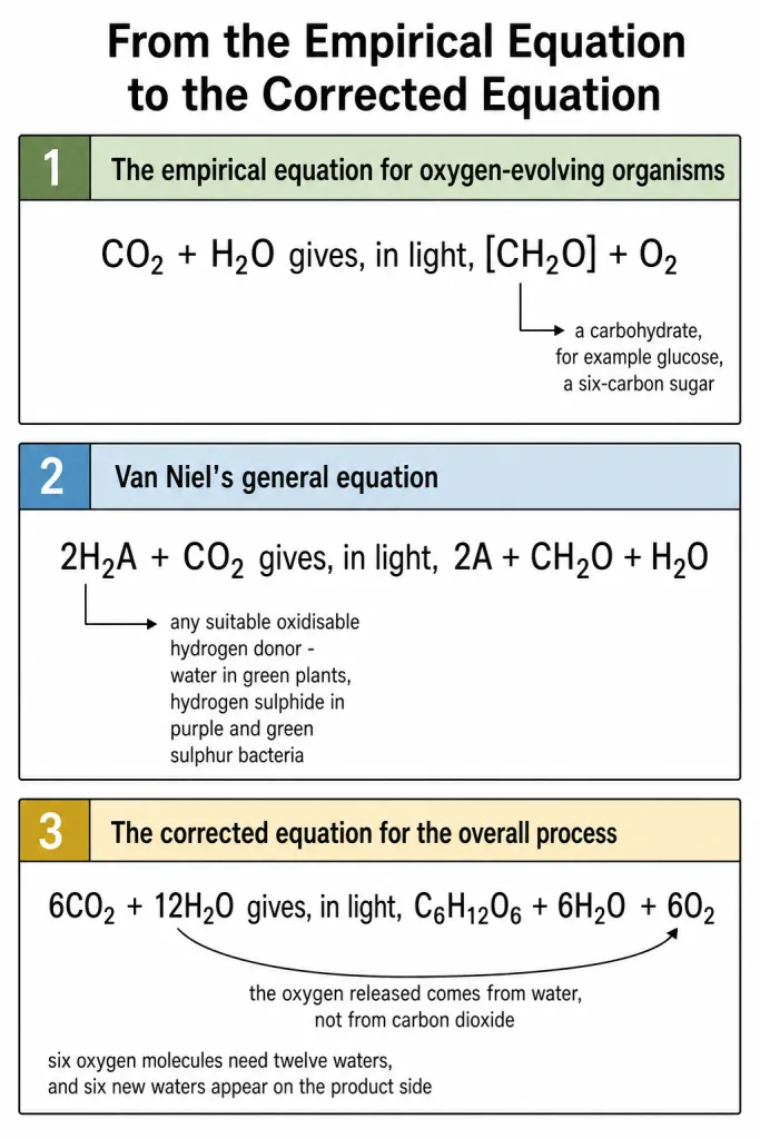 The three photosynthesis equations from empirical to corrected form