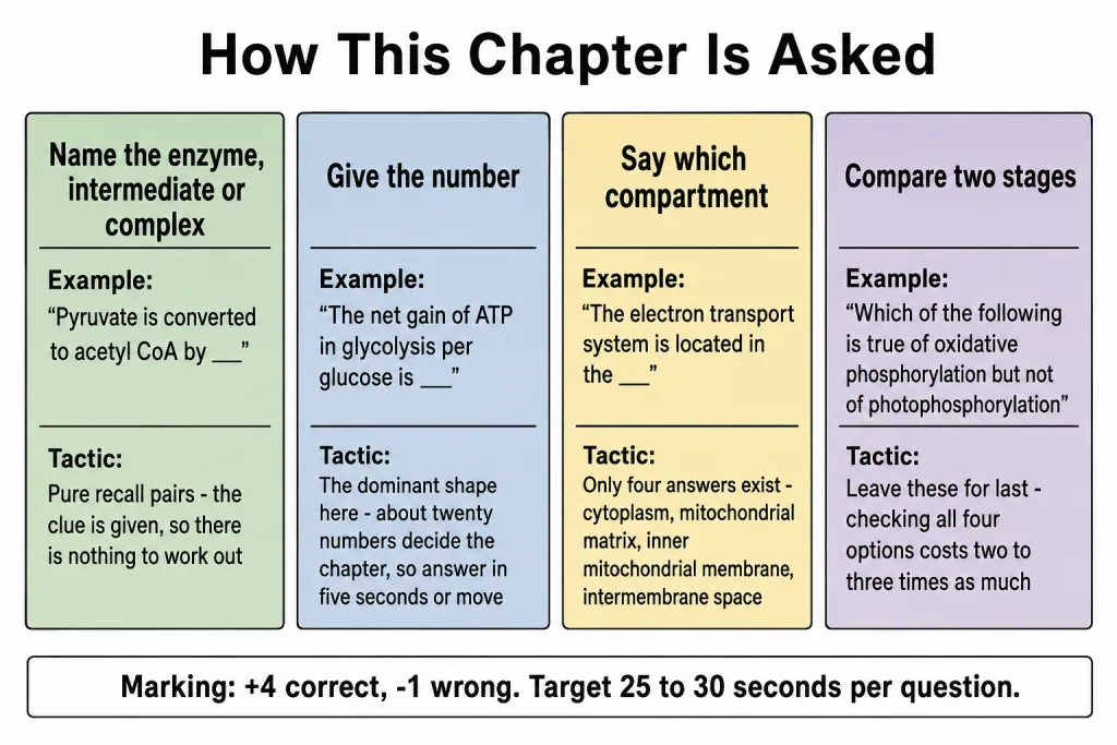 Four question shapes used for the respiration chapter in NEET