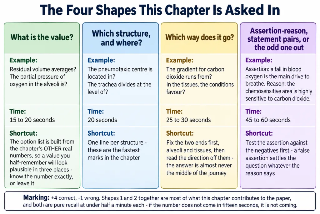The four question shapes of Breathing and Exchange of Gases with time budgets