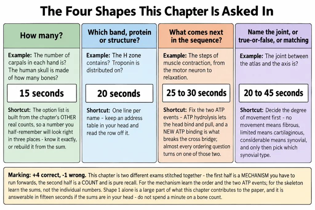 The four question shapes of Locomotion and Movement with time budgets