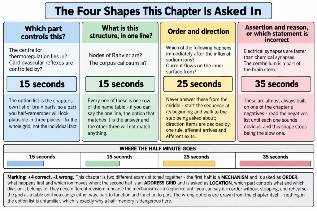 The four question shapes of Neural Control and Coordination