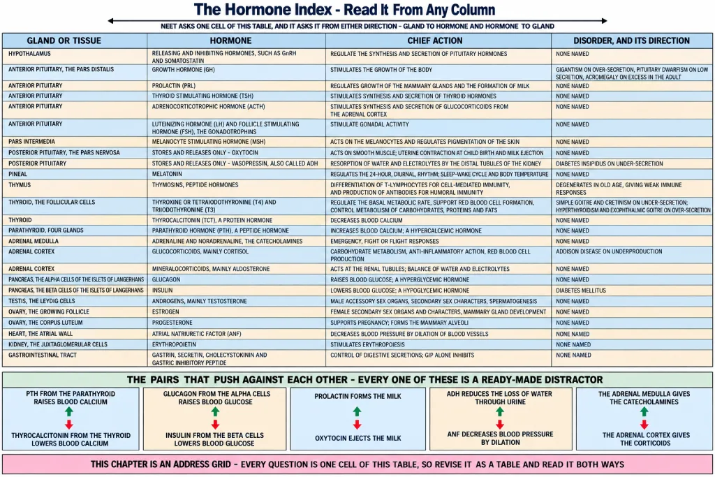 Index of the glands their hormones and the disorders of each