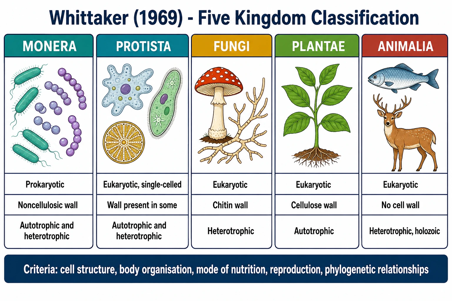 Whittaker five kingdom classification overview