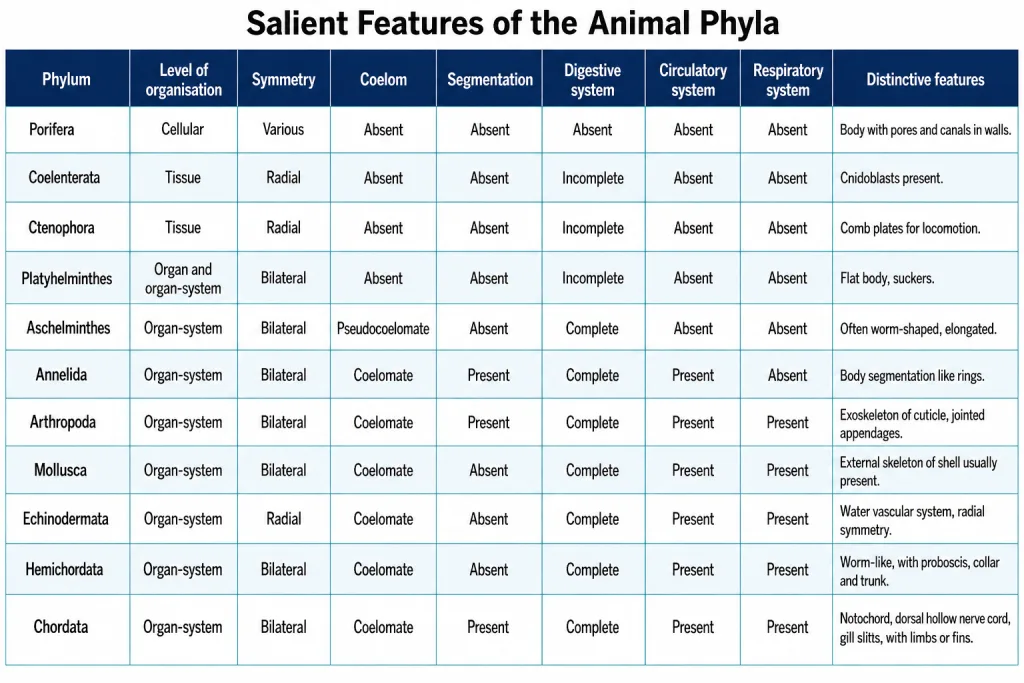 Comparison chart of all animal phyla by organisation, symmetry, coelom and systems