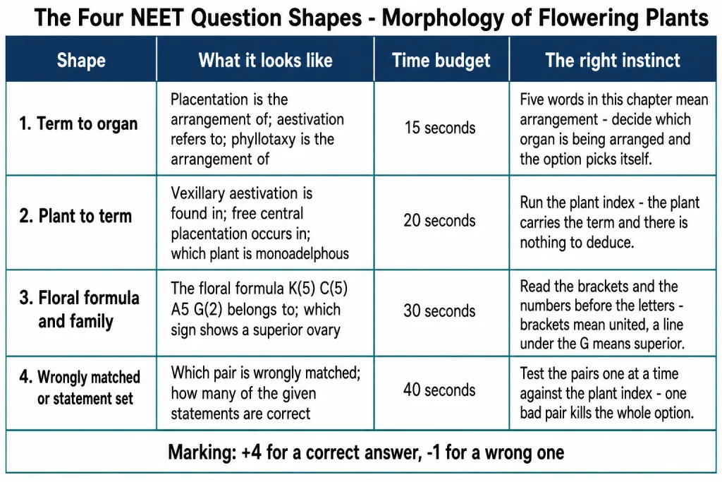 NEET question shapes for Morphology of Flowering Plants with time budgets