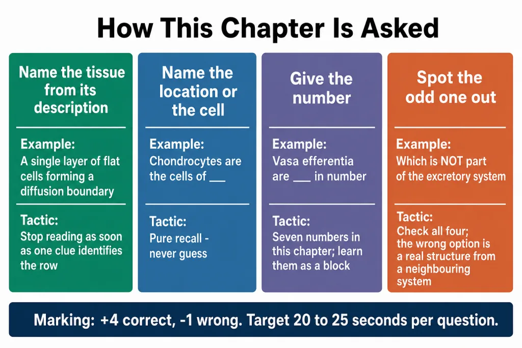 Four question shapes used for this chapter in NEET