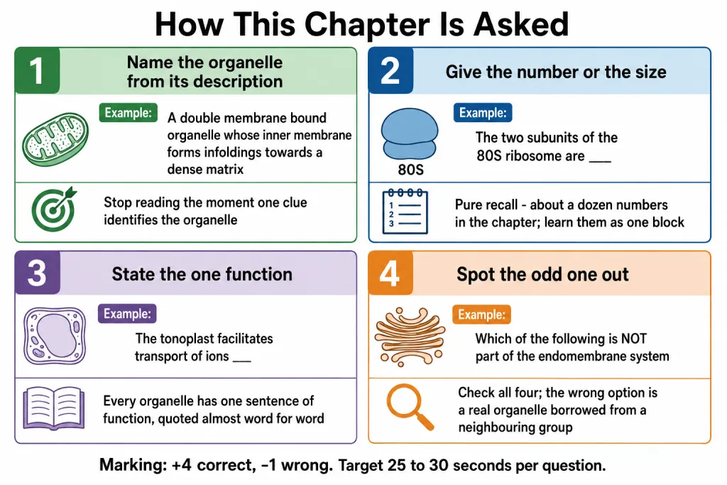 Four question shapes used for the cell chapter in NEET