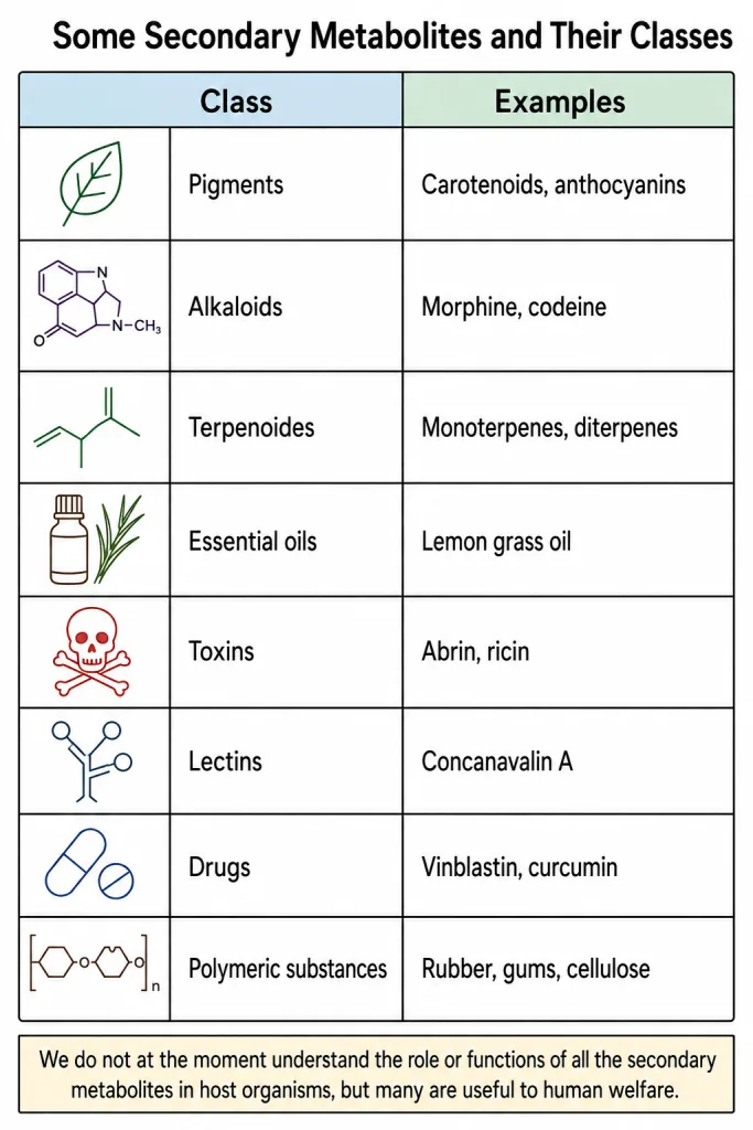 Classes of secondary metabolites with examples from plants and microbes