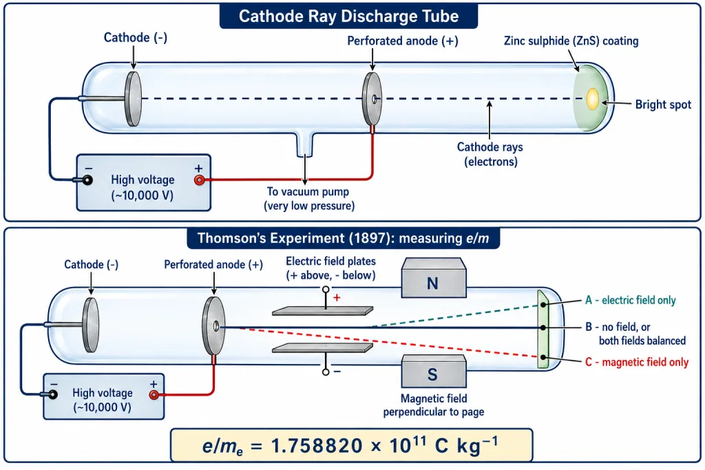 Cathode ray discharge tube with perforated anode and Thomson deflection apparatus