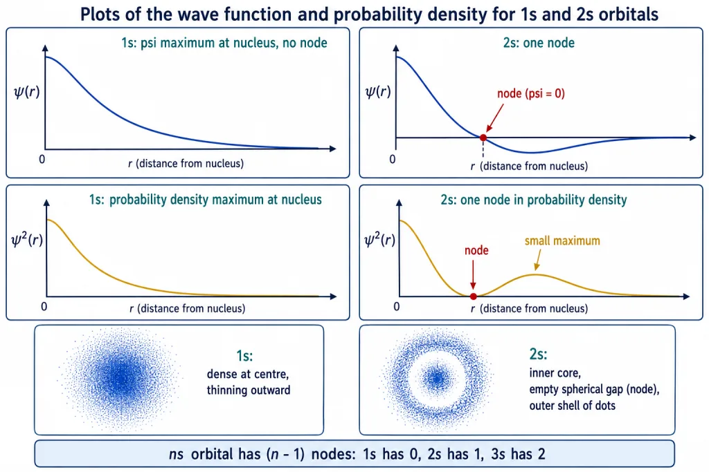 Plots of wave function and probability density against r for 1s and 2s