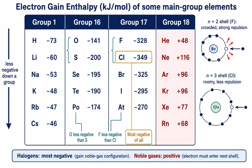 Electron gain enthalpy table with O/S and F/Cl anomaly highlighted