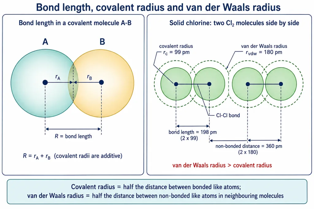 Covalent and van der Waals radii in solid chlorine