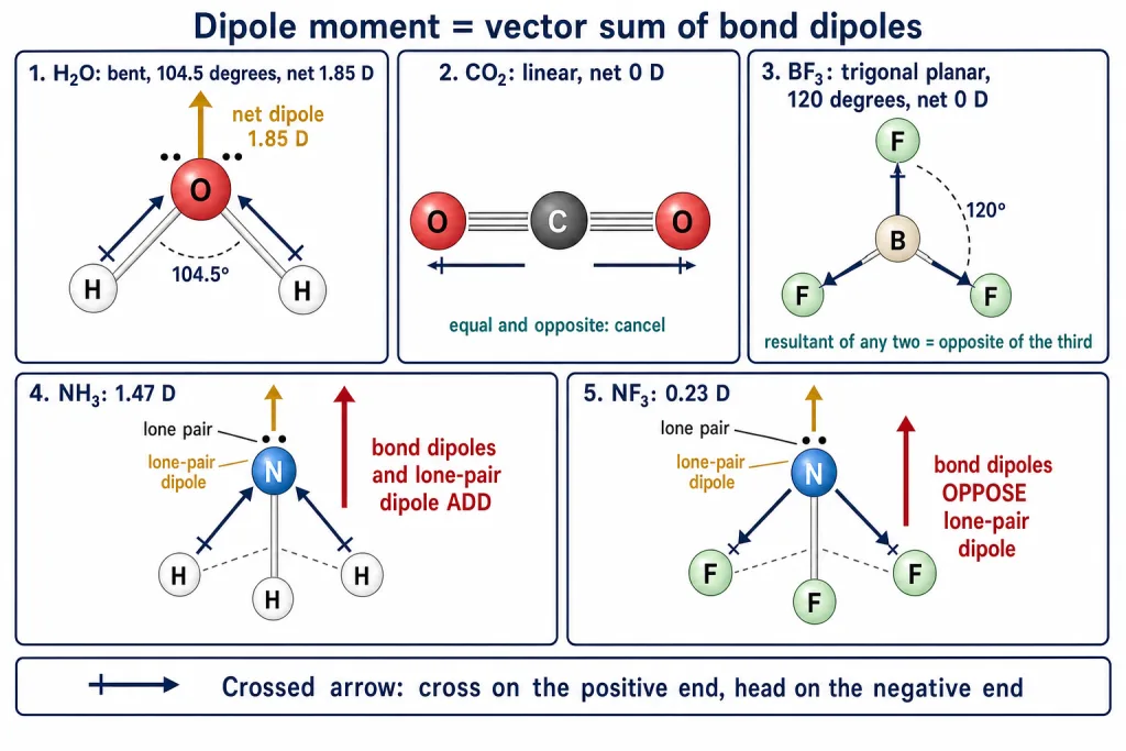Bond dipoles adding in H2O, CO2, BF3, NH3 and NF3