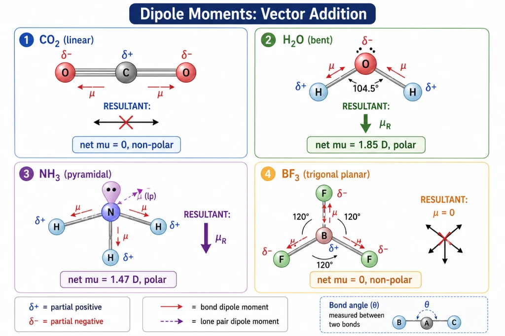 Bond dipole vectors in CO2, H2O, NH3, BF3