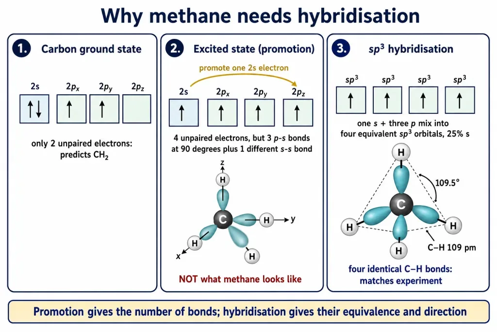 Carbon ground state, promotion and sp3 mixing giving four equal methane bonds