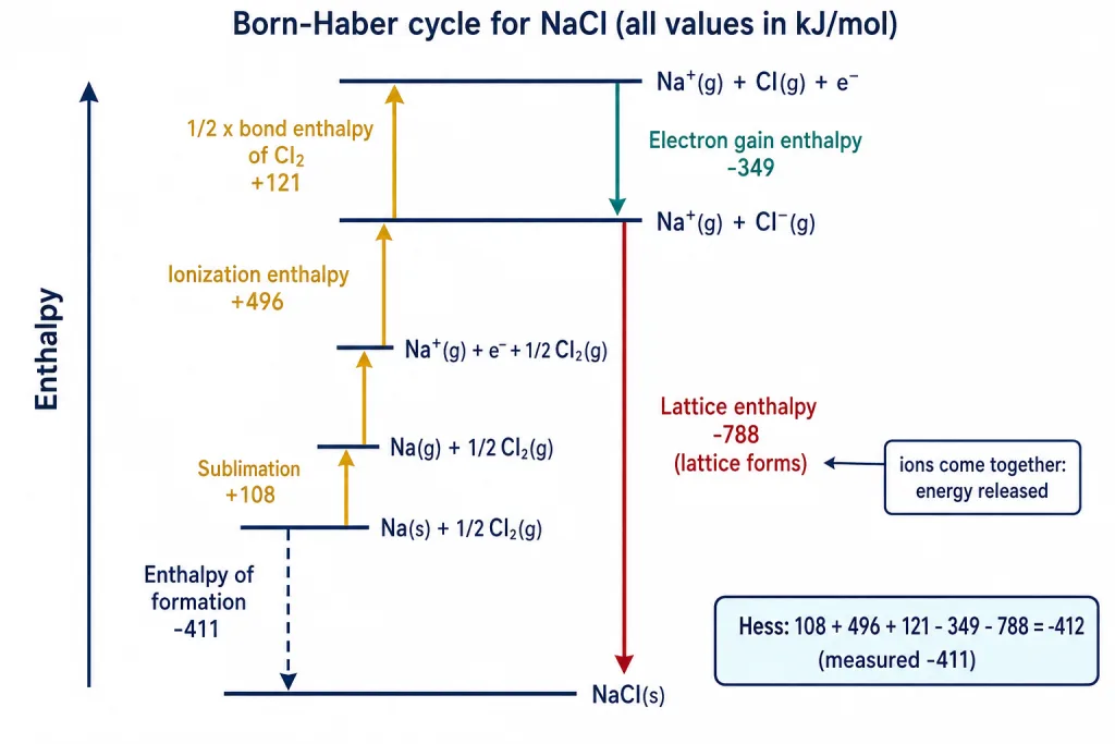 Born-Haber cycle for sodium chloride with every step and value