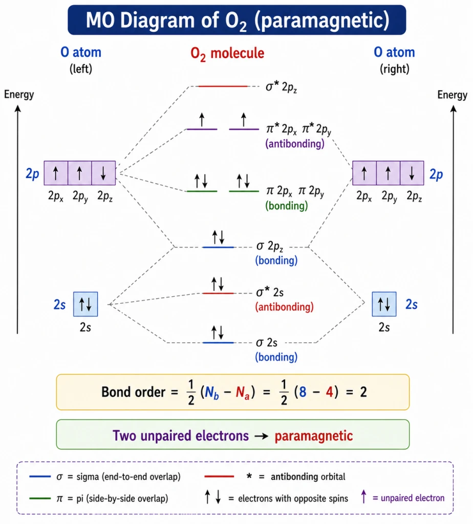 Molecular orbital diagram of paramagnetic O2