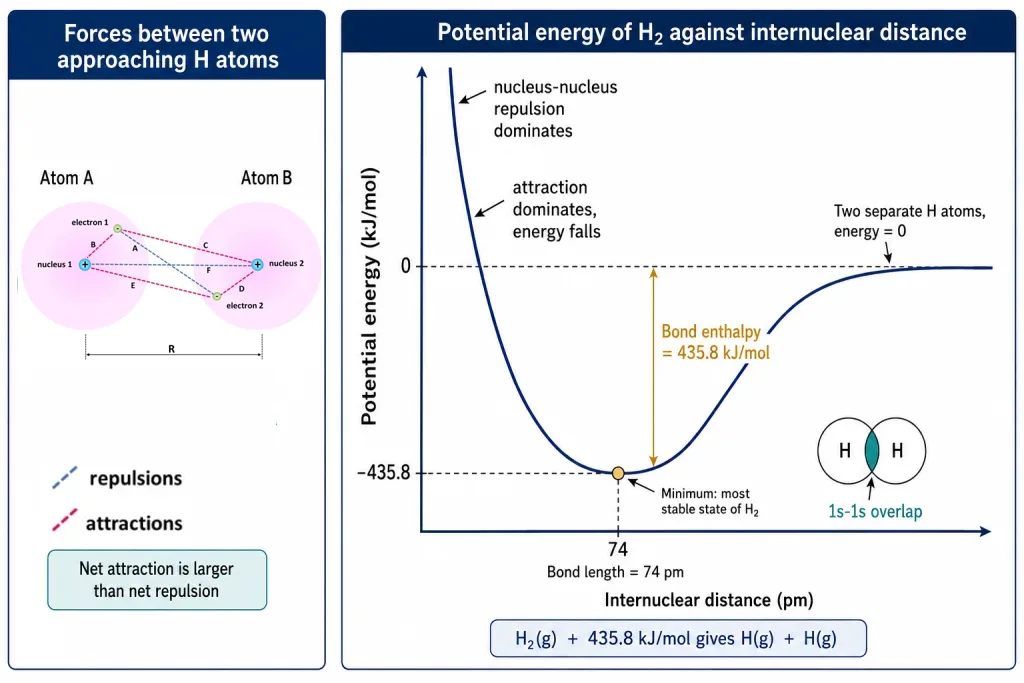 Potential energy of two hydrogen atoms against internuclear distance