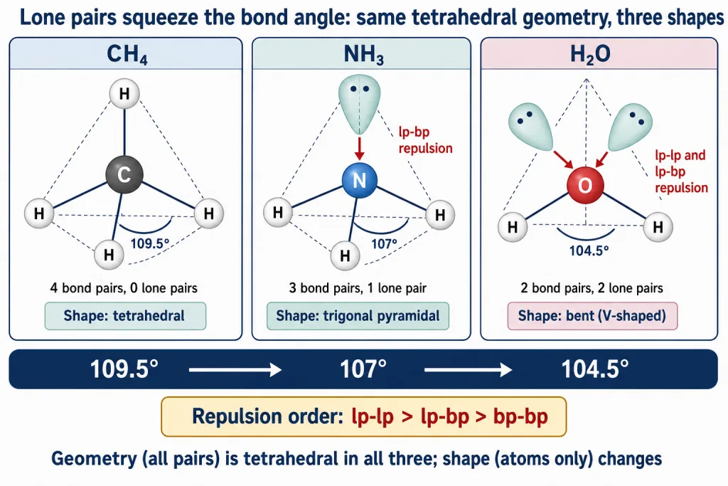 Lone pairs squeeze bond angles from CH4 to NH3 to H2O