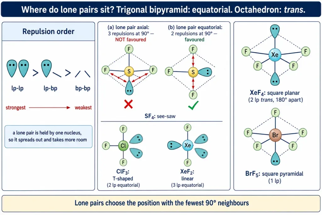 Repulsion order and equatorial lone pairs in a trigonal bipyramid