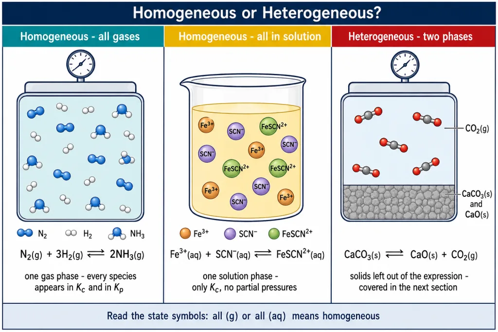 Homogeneous gas phase and homogeneous solution equilibria compared with a two phase system
