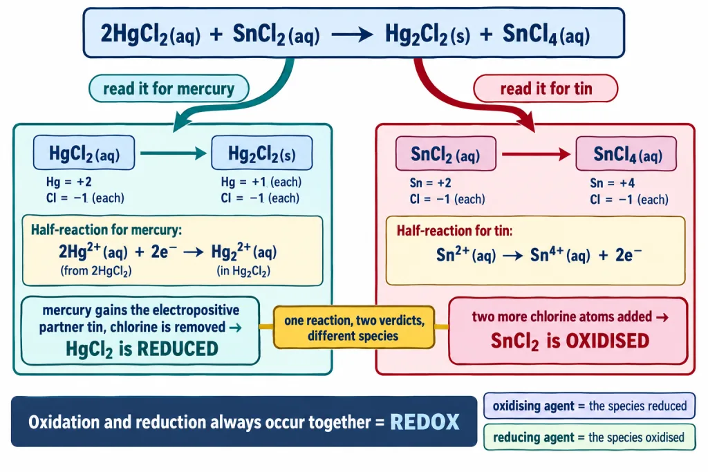 A single reaction split into paired oxidation and reduction of two different species