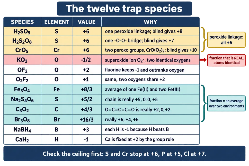 Twelve trap species with their correct oxidation numbers and one line reasons