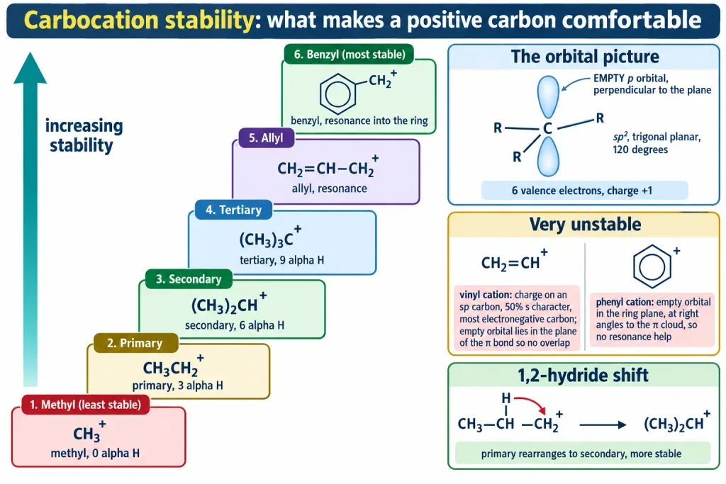 Carbocation stability ladder with alpha hydrogen counts benzyl and allyl resonance