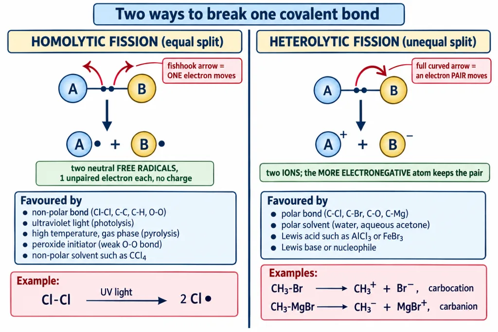 Homolytic and heterolytic fission compared with fishhook arrows and full curved arrows