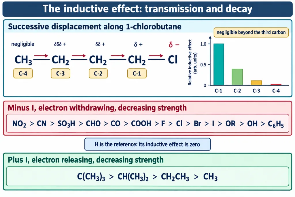 Inductive effect dying away along 1-chlorobutane with the minus I and plus I series