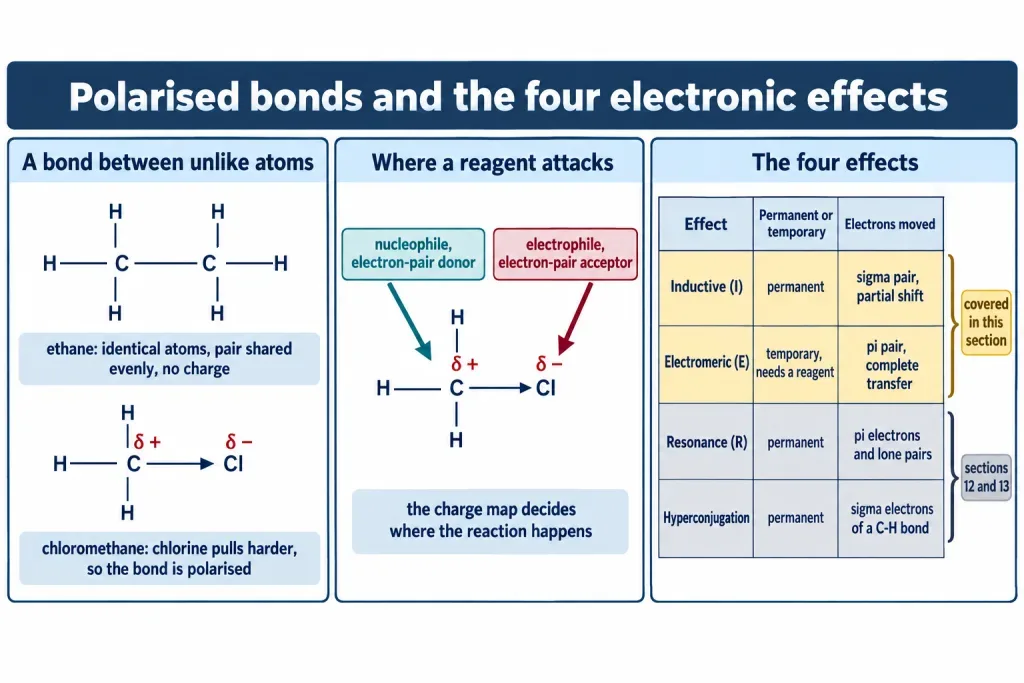 Polarised carbon chlorine bond with partial charges and the four effects